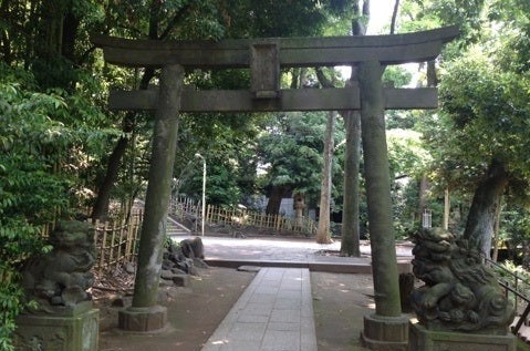O0480036013661787572